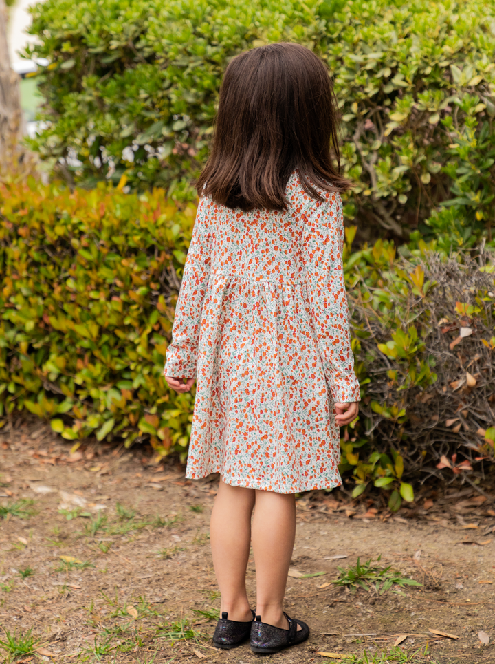 Printed Long Sleeve Little Girls Dress
