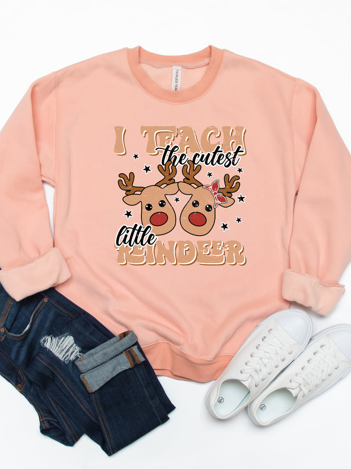 I teach the cutest little Reindeer Graphic Sweatshirt