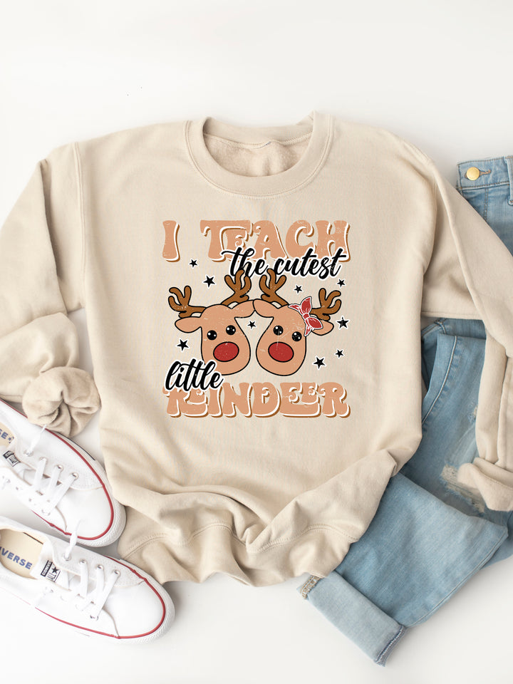 I teach the cutest little Reindeer Graphic Sweatshirt