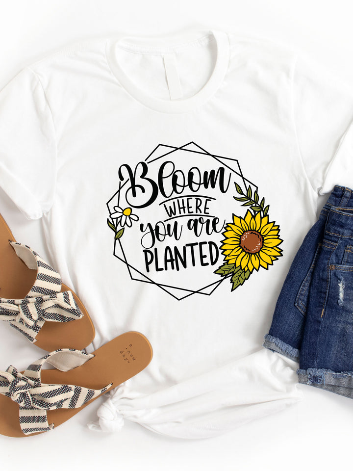 Bloom Where You Are Planted Graphic Tee