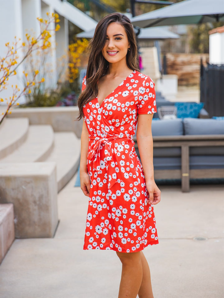 Berkeley Wrap Front Dress