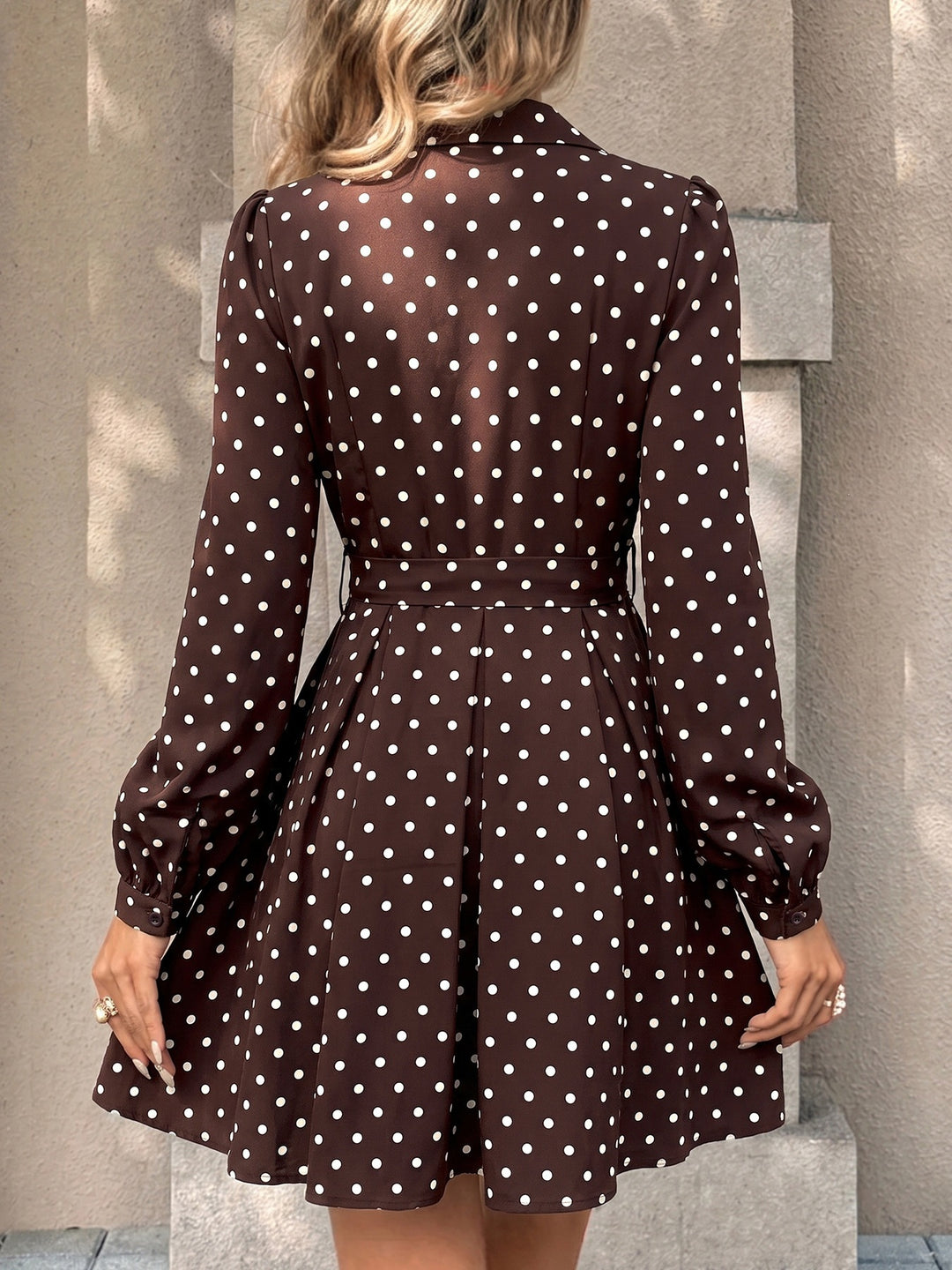 Polka Dot Tie-Waist Shirt Dress