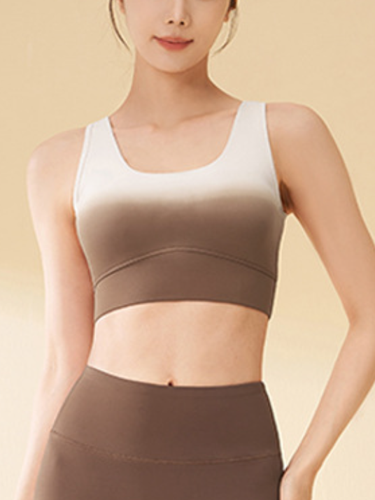 Ombre Thick Strap Sports Bra